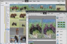 Adobe Photoshop Elements & Premiere Elements